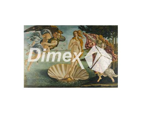Reprodukcie obrazov Dimex - Zrodenie venuše 60 x 90 cm
